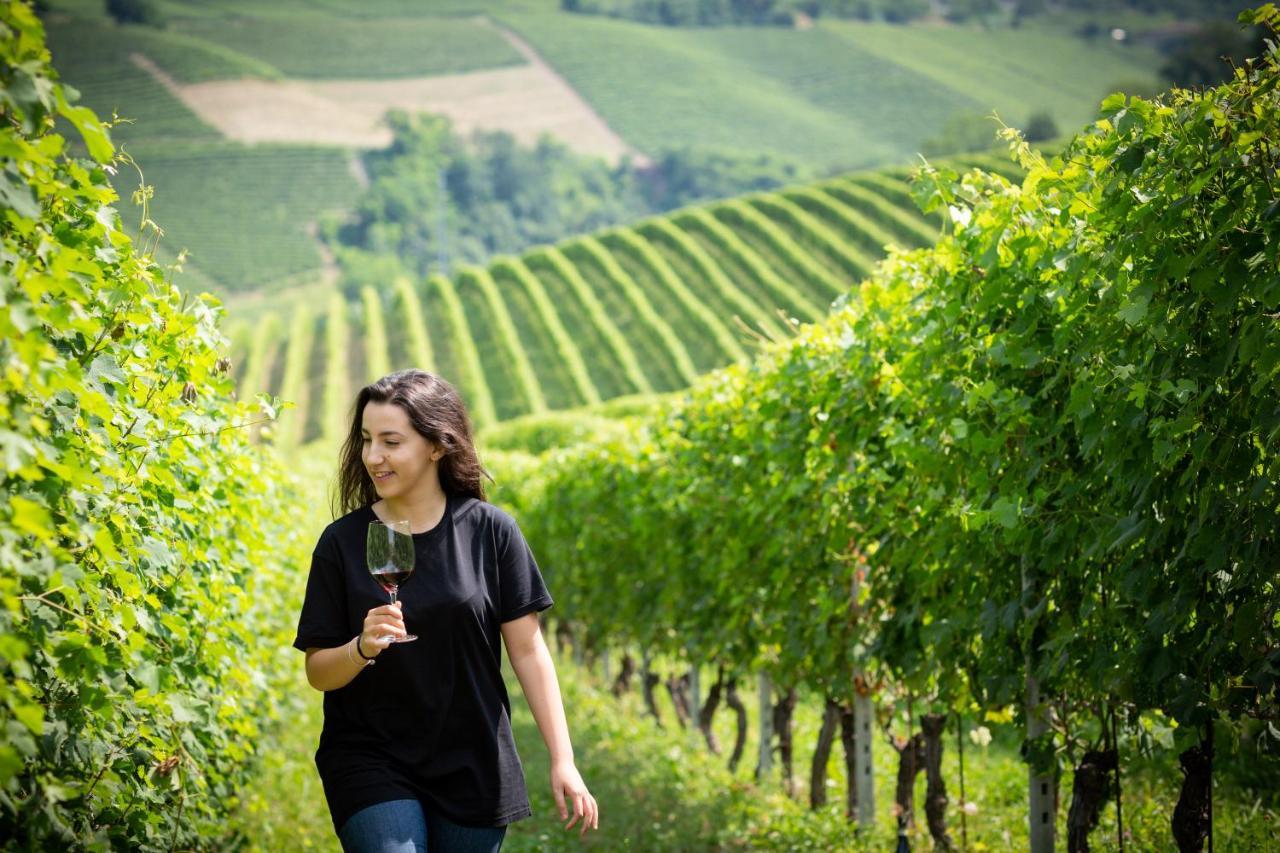 Cascina Barac Vendégház Alba Kültér fotó